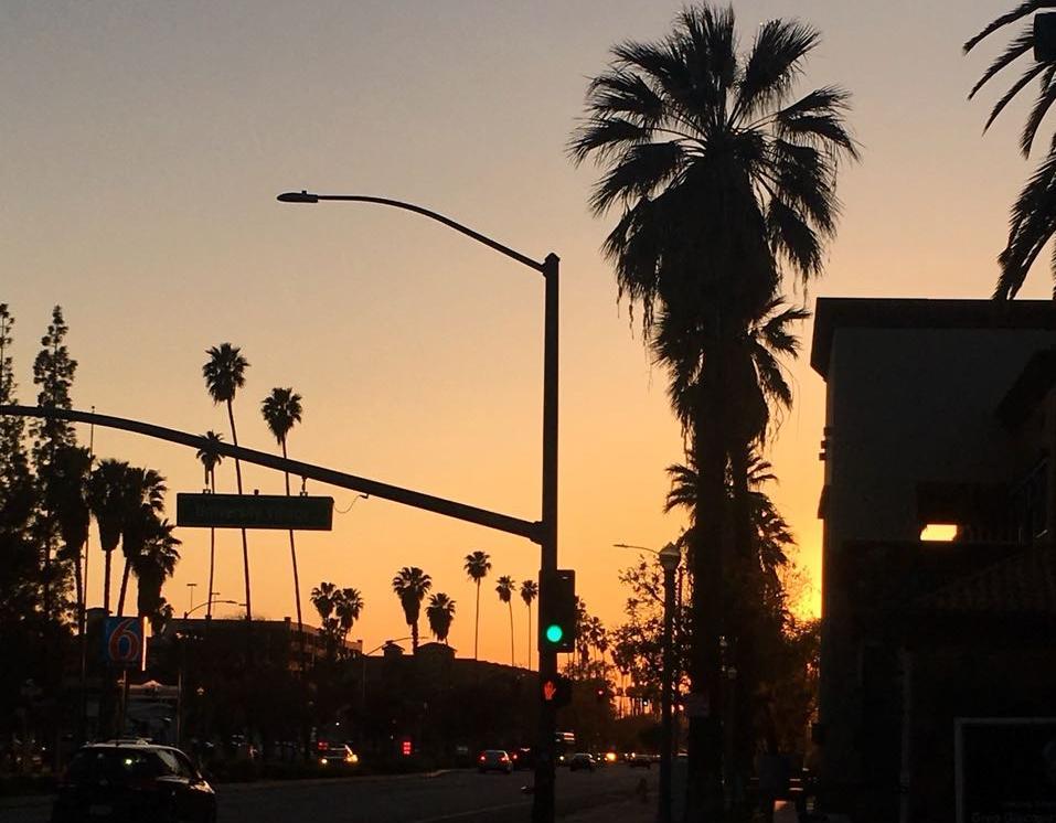 Palmen an einer Straße beim Sonnenuntergang