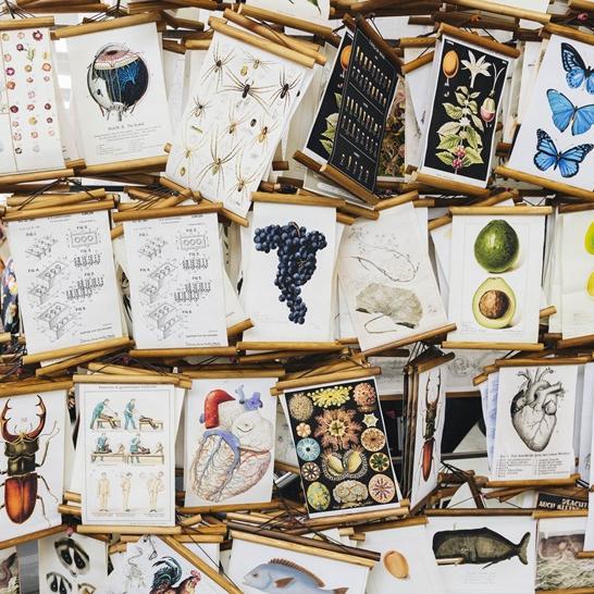 Nahaufnahme eines Stands mit verschiedenen bildlichen Darstellungen des Kunst- und Designmarktes im Wizemann