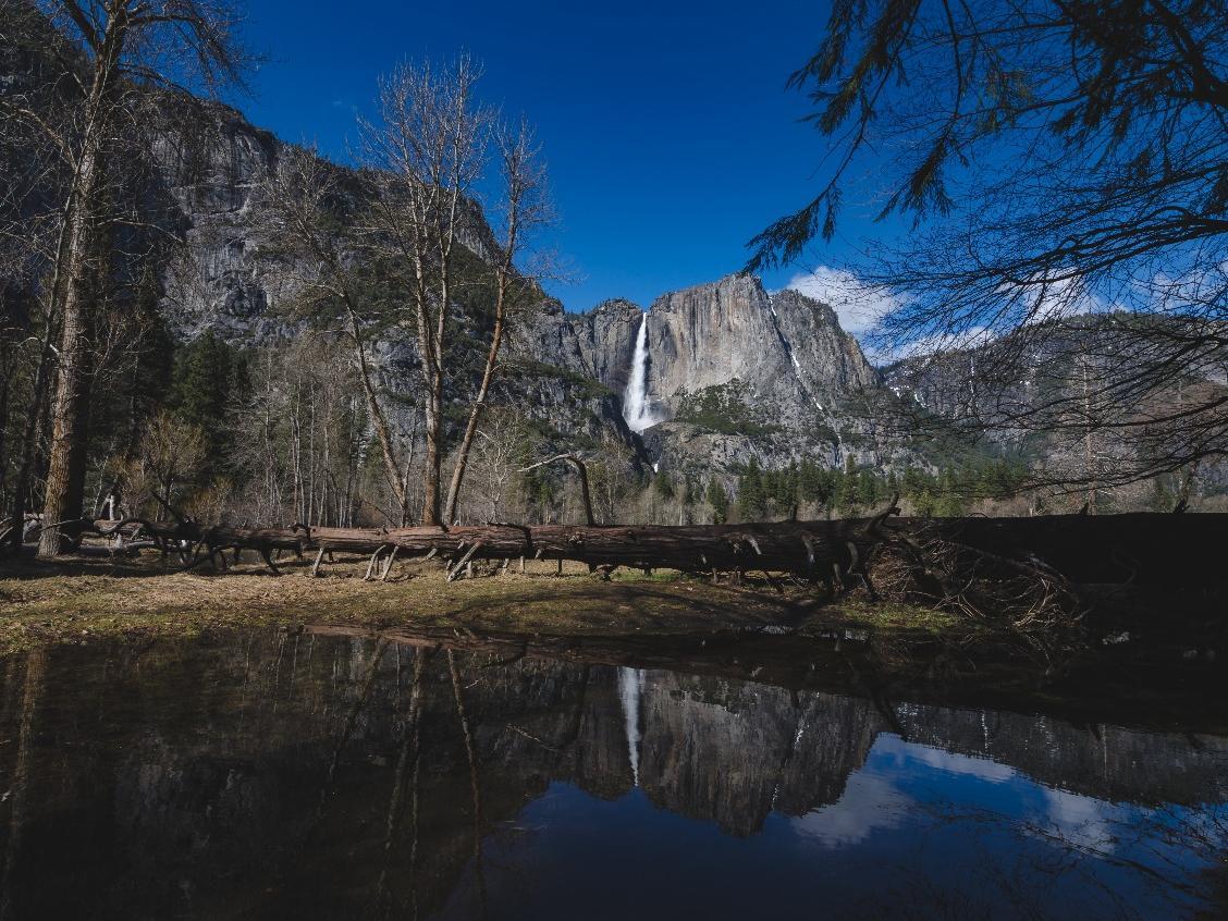 Berglandschaft an einem klaren See und meterhohen Bäumen