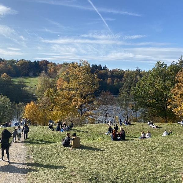 Gruppen von Menschen genießen einen Sommertag am Bärensee in Stuttgart