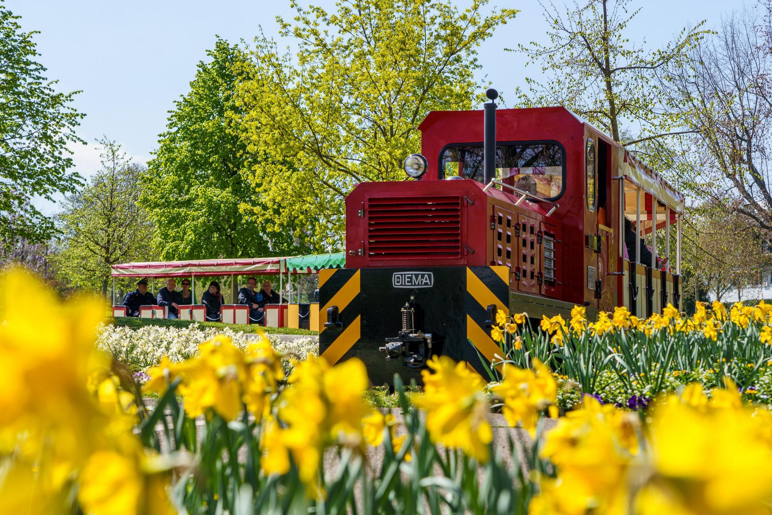 Eine Diesellkomotive der Killesbergbahn fährt entlang von einem Blumenbeet.