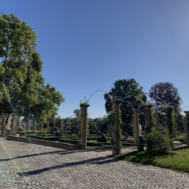 Von grünen Blättern umrankte Säulen im Rosensteinpark.