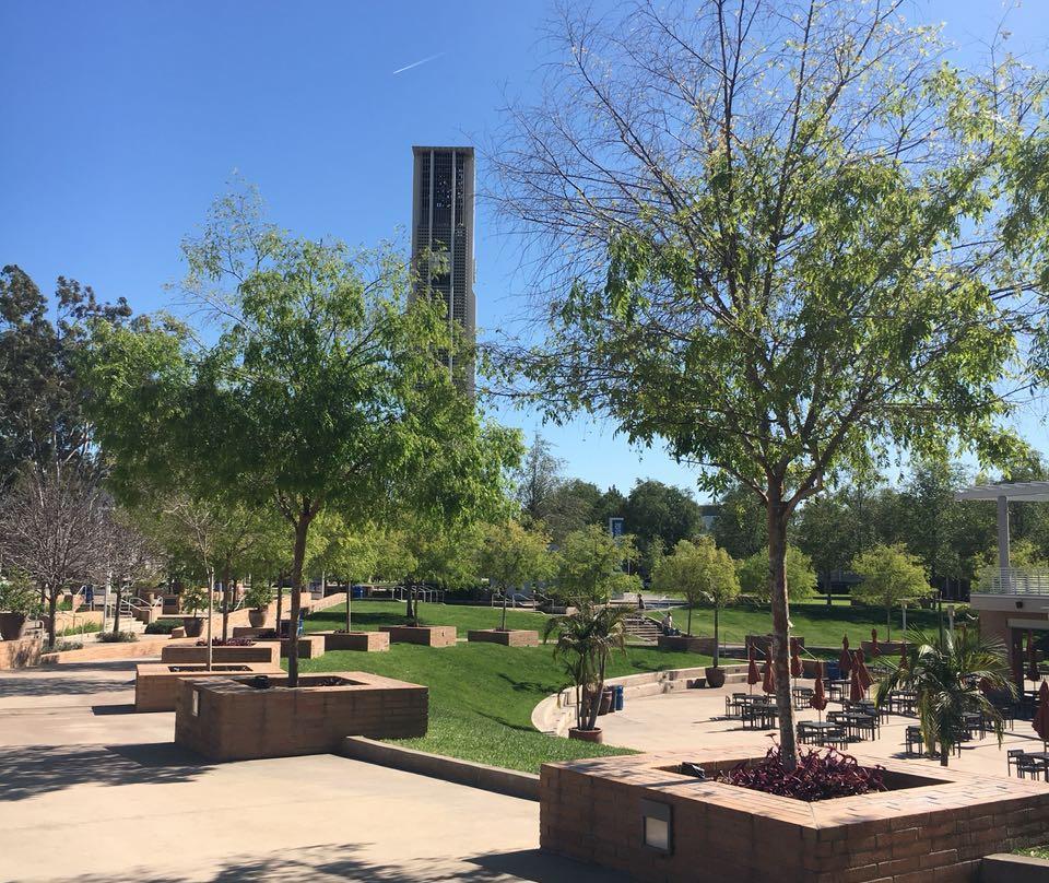 Parkanlage mit grünen Bäumen, einer Wiese und Sitzbänken