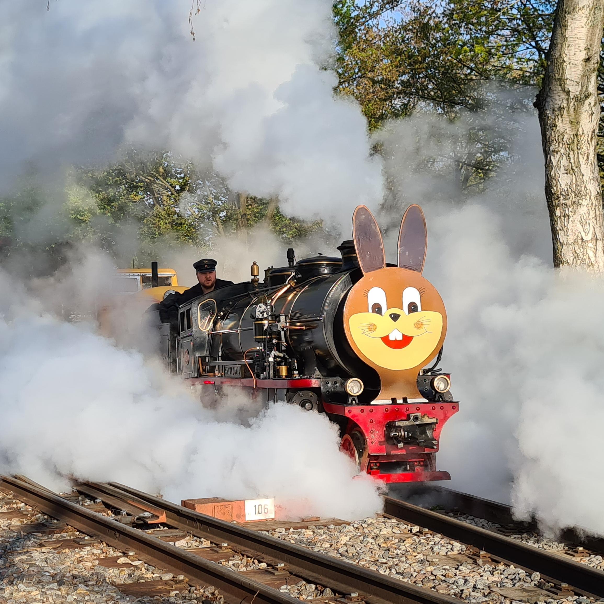  Eine Dampflokomotive mit Hasengesicht.