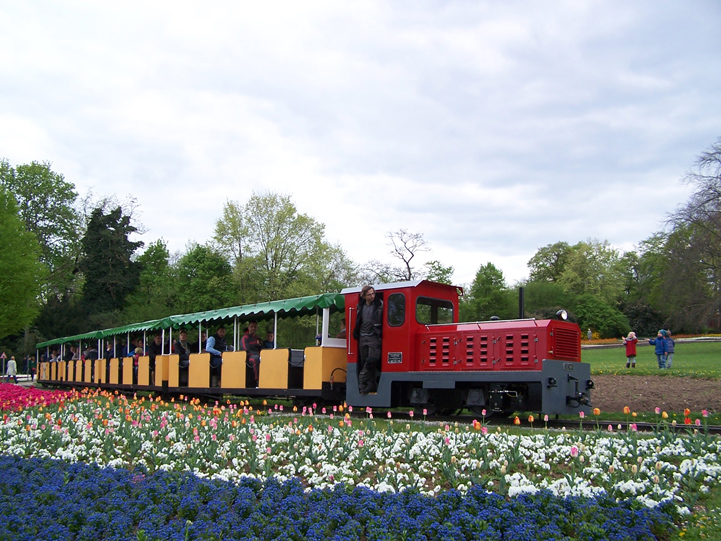 Diesellok Schwoabapfeil fährt entlang von Blumen
