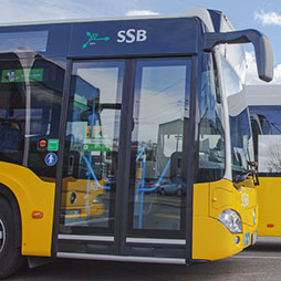Geschlossene Vordertür eines Busses