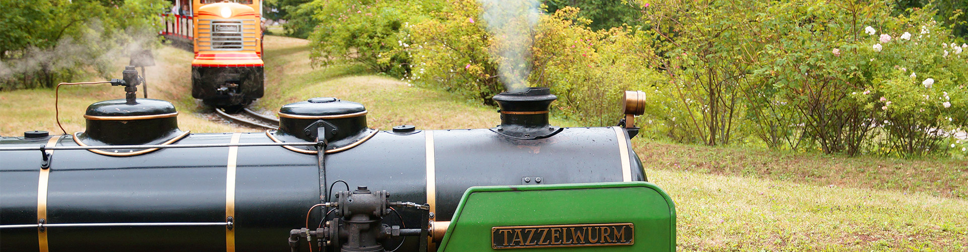 Dampf steigt aus dem "Kamin" der Lokomotive auf